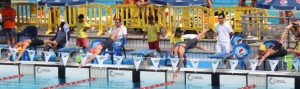 Campeonato de España Absoluto 2013